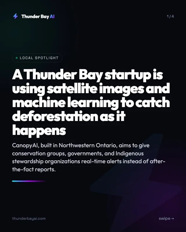Local Spotlight: A Thunder Bay startup is using satellite images and machine learning to catch deforestation as it happens